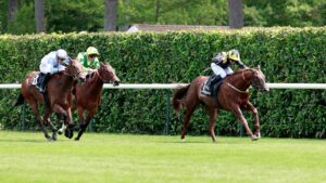 skysports-arabie-chantilly_6967845.jpg